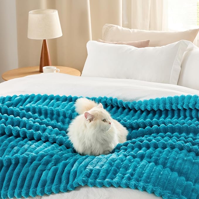Bedsure GentleSoft Teal Fleece Blanket for Couch - Cozy Soft Blankets for Women, Cute Small Throws for Girls, 90x90 Inches