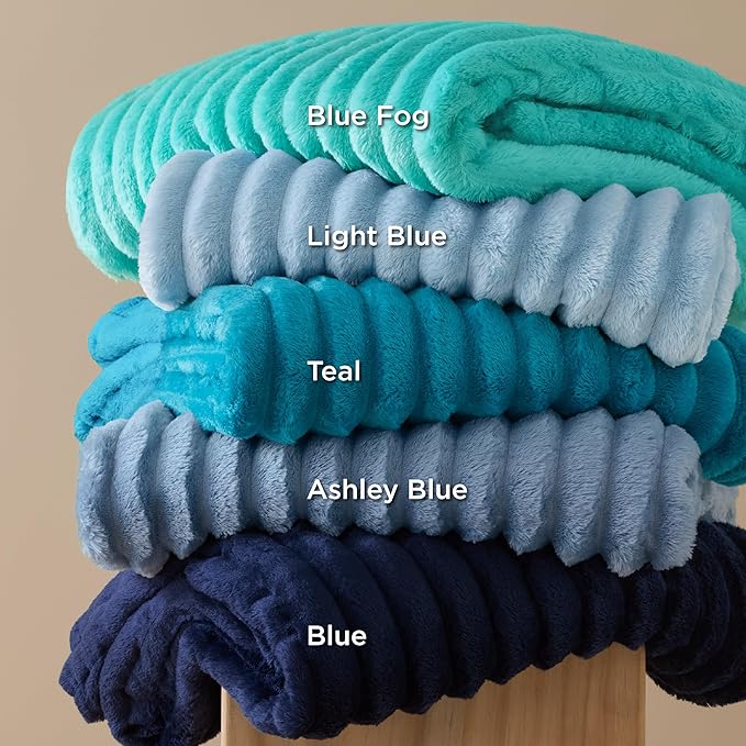 Bedsure GentleSoft Queen Blanket for Bed - Cozy Soft Blankets for Women, Cute Large Fall Throws for Girls, Ashley Blue, 90x90 Inches