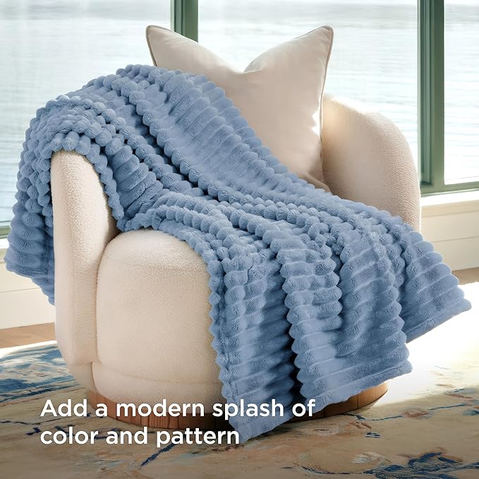 Bedsure GentleSoft Throw Blanket for Couch - Cozy Soft Blankets for Women, Cute Small Throws for Girls, Ashley Blue, 50x70 Inches
