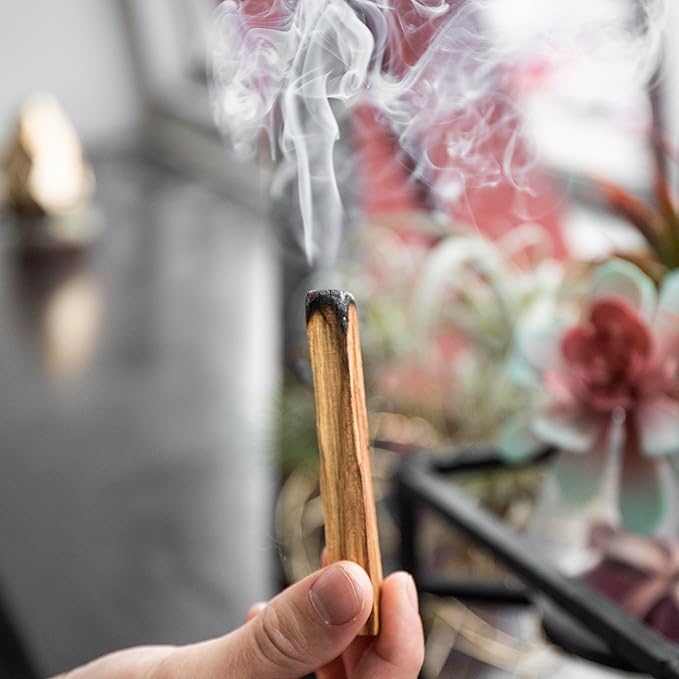 A-Grade Premium Palo Santo Incense - Sustainably Harvested in Peru - Holy Wood Smudge Sticks - Bulk Lot of 48 (Approx 1 lb.) for Cleansing, Smudging, Meditation and Purification (48 Sticks)