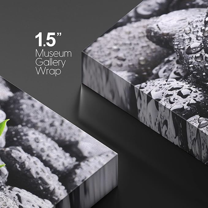 wall26 Canvas Print Wall Art Raindrops on Black Rocks with Sprouting Plant Floral Nature Photography Realism Bohemian Scenic Relax/Calm Cool for Living Room, Bedroom, Office - 16"x24"