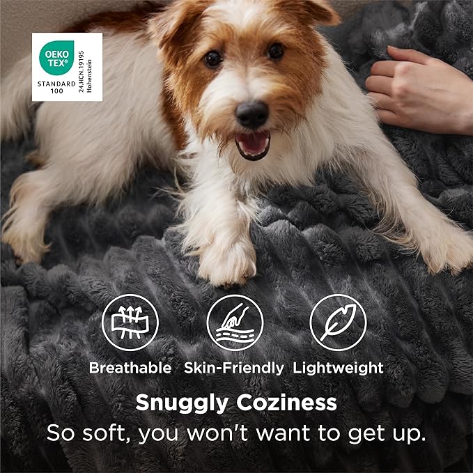 Bedsure GentleSoft Grey Fleece Blanket for Couch - Cozy Soft Blankets for Women, Cute Small Throws for Girls, 50x70 Inches
