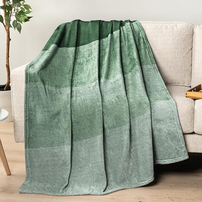 Pavilia Green Ombre Fleece Bed Blanket, Soft & Lightweight, Emerald Forest Green Gradient, Cozy Microfiber, Twin Size (60x80)