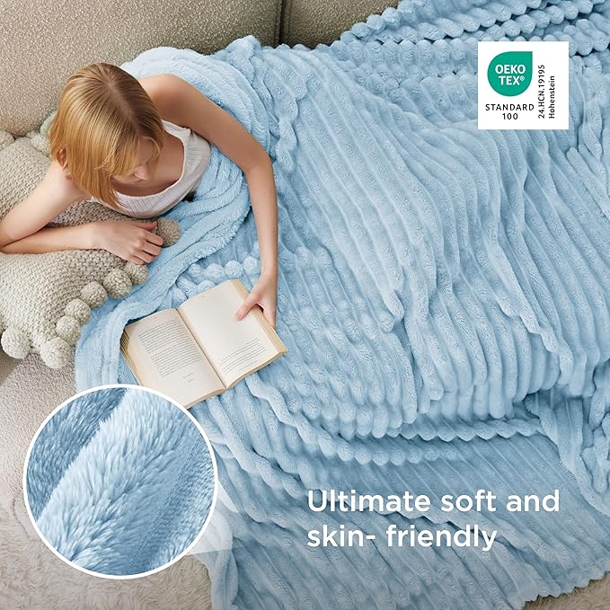 Bedsure GentleSoft Blue Full Blanket for Couch - Cozy Soft Blankets for Women, Cute Small Fleece Throws for Girls, Birthday Gifts for Women Decor Gifts, Light Blue, 84x90 Inches