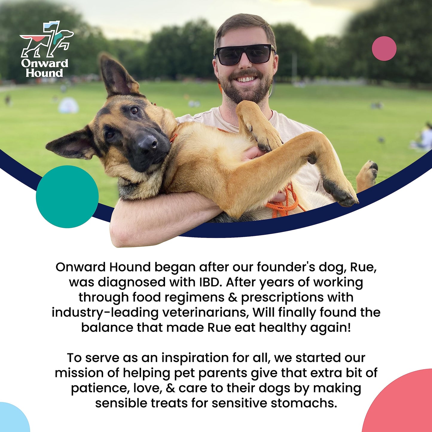 Onward Hound Elk Antlers for Dogs, 6"+ Medium 1-Pack, Grade A Long Lasting Chew for Aggressive Chewers, Premium USA Naturally Shed Antler - Healthy, No Odor, Durable Dog Chew for 15-35lb Breeds
