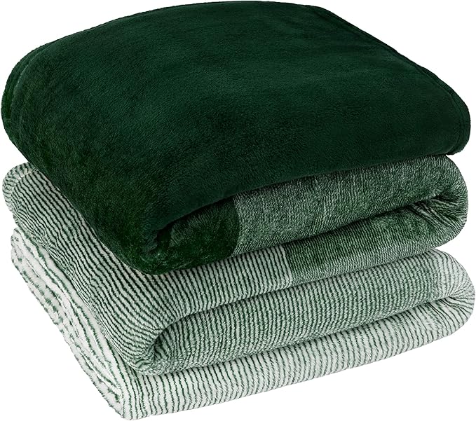 Pavilia Green Ombre Fleece Bed Blanket, Soft & Lightweight, Emerald Forest Green Gradient, Cozy Microfiber, Twin Size (60x80)