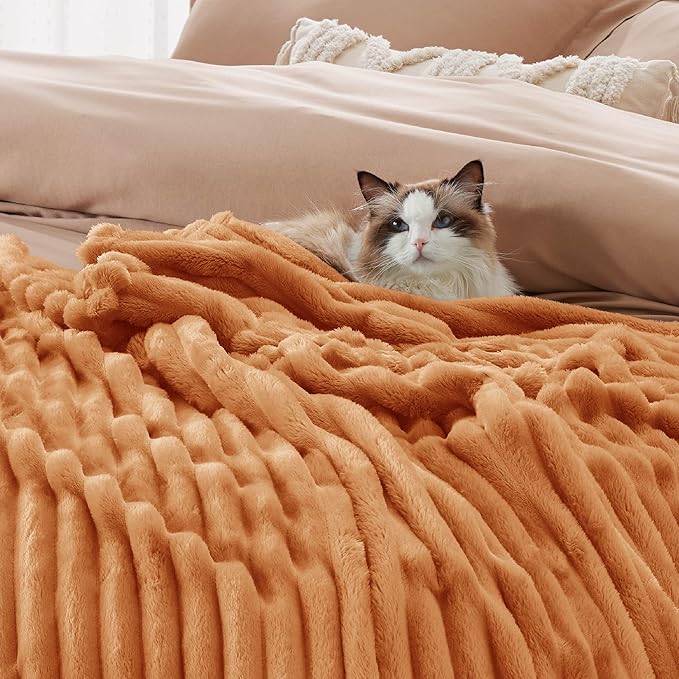 Bedsure GentleSoft Queen Blanket for Bed - Cozy Soft Fall Blankets for Women, Cute Large Fall Throws for Girls, Orange, 90x90 Inches